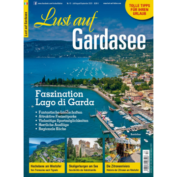 Blick auf den Gardasee mit vielen Booten, Hafenanlagen und einer Uferstadt unter blauem Himmel.