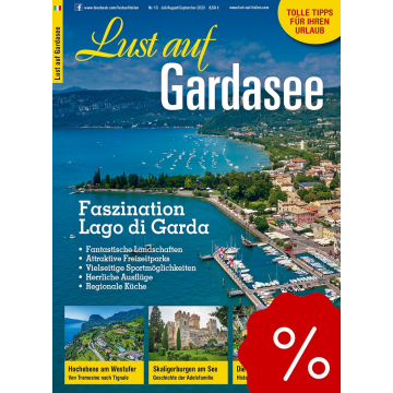 Blick auf den Gardasee mit vielen Booten, Hafenanlagen und einer Uferstadt unter blauem Himmel.